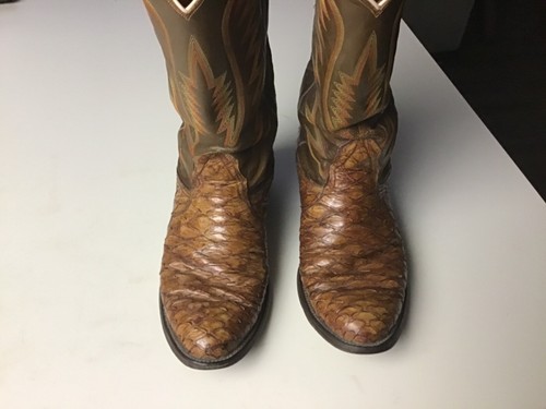 anteater cowboy boots
