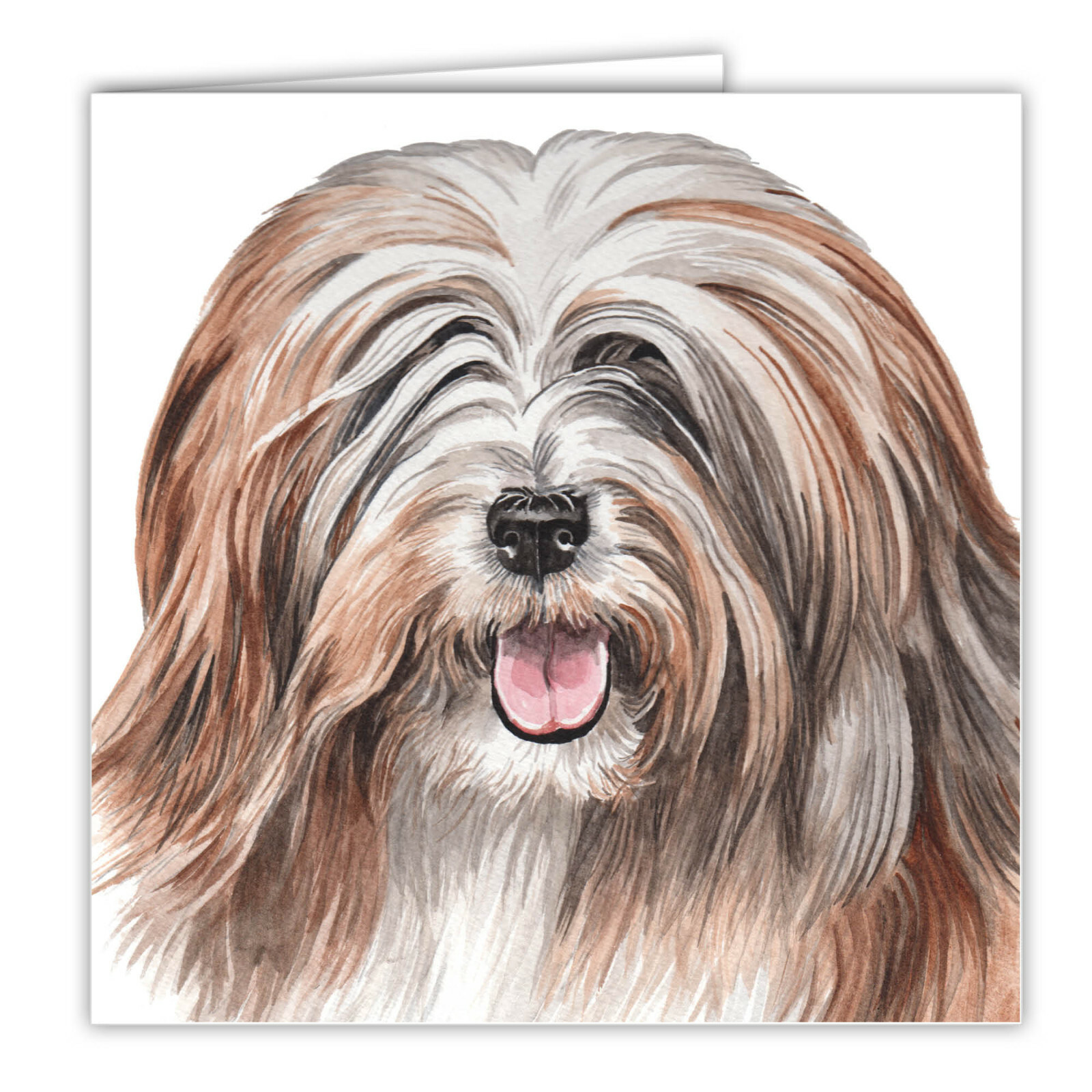 Tibetan Terrier greetings card dog blank card dogs Tibetan Terriers Waggydogz