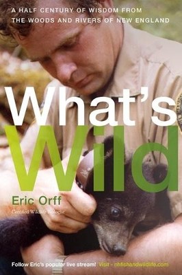 Eric Orff What's Wild (Taschenbuch)