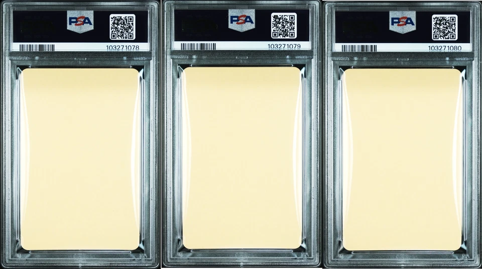 PSA9 2024 Pokemon Craft Exhibition Azabudai 1st Promo Jolteon/Venusaur/Shaymin - Image 2 of 2