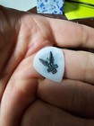 used Short Fuse (Frank) guitar pick from fall 2024 Seattle show w/ Skinlab — photo 2