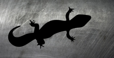 Leopardgecko Gecko Aufkleber Auto Sticker JDM Decal Reptil reptilien Reptile 