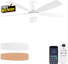 Ceiling Fans with Lights 52 Inch Low Profile Ceiling Fan with Light and Remote..