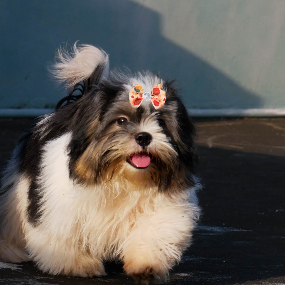 20 Pcs Cani Accessori Fiocchi Per Animali Domestici Del Festival foto 6