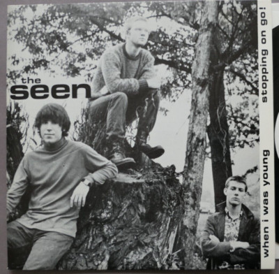 The Seen   When I Was Young / Stopping On Go! 7'' Single Paradox PRSX 110  MINT
