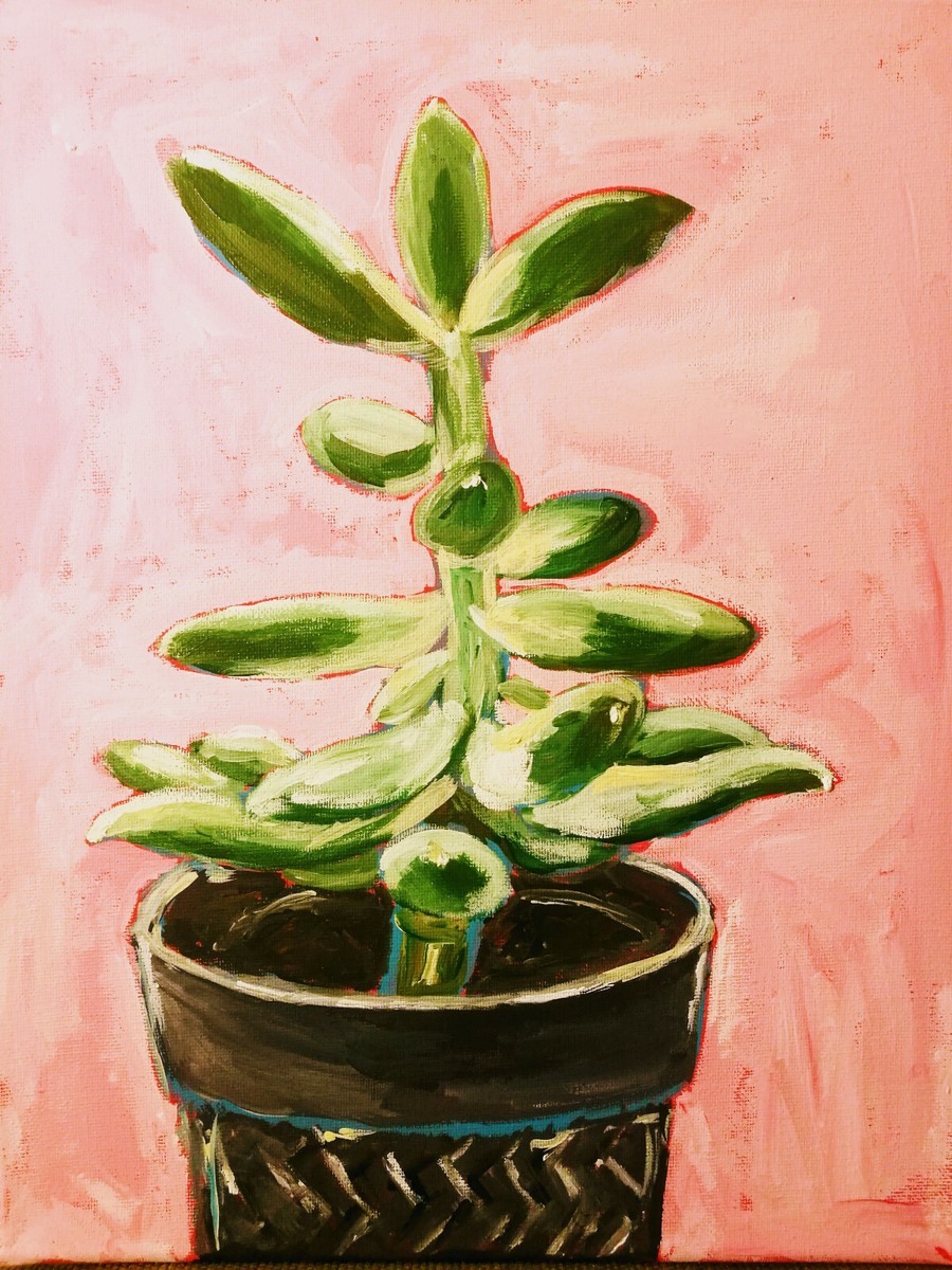 Original acrylic painting on streched canvas 11*14 - succulent . potted  plant