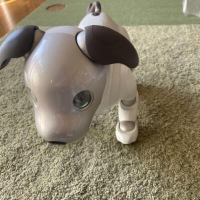 Aibo main unit ERS1000 with product key SONY Toys Hobbies Goods