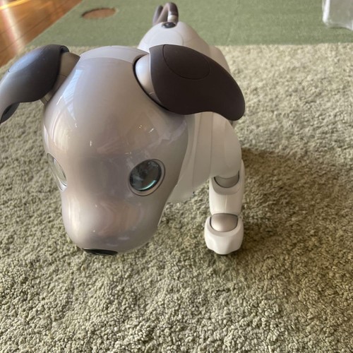 Aibo Haupteinheit ERS1000 mit Product Key SONY Spielzeug Hobbys Ware Hund Haustier - Bild 2 von 10