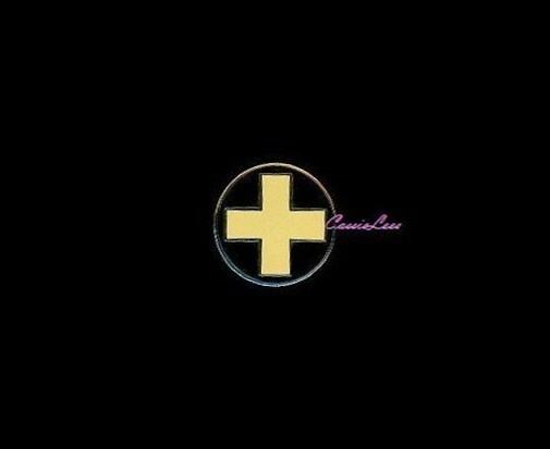 USA 33rd Inf. Div. + a custom promo pin