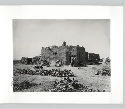 Pumpkins Growing in Front Zuñi Adobe Home 1879 Photo John K Hillers c1970s Print