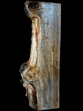 XL Curly AMBROSIA Maple Burl wood Blank Turning Wood, EPOXY WOOD, Blister Maple