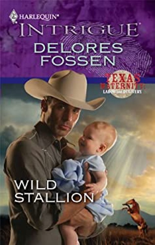 Wild Stallion Mass Market Paperbound Delores FossenFree US Delivery | ISBN:0373695152