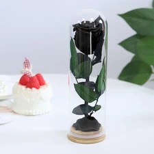 9.8 Inches Preserved Rose in Glass Dome Rose with Green Leaves Eternal Love and