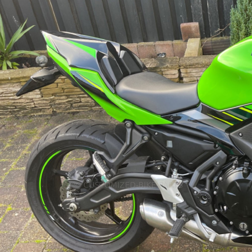 Kawasaki Z650 2017-2025 Black Green Motorcycle Rear Pillion