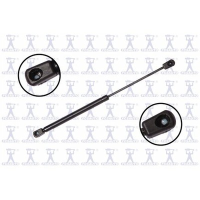 Fcs Struts 86927 86927