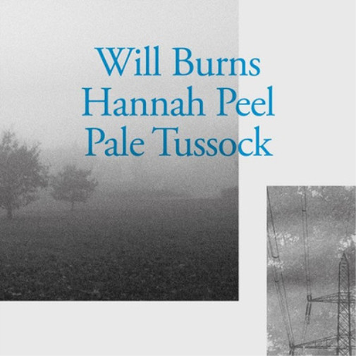 Сингл Will Burns & Hannah Peel Pale Tussock (винил) 7 (ИМПОРТ ИЗ Великобритании)