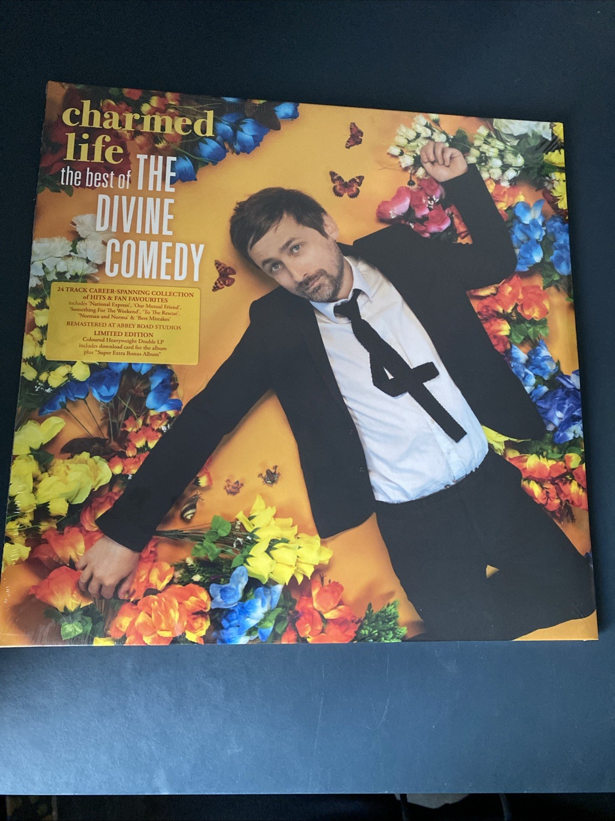 Charmed Life: the Best of the Divine Comedy by The Divine Comedy (Record, 2022)