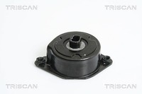 Triscan Riemenspanner, Keilrippenriemen U.A. FüR Bmw, Land Rover, Opel