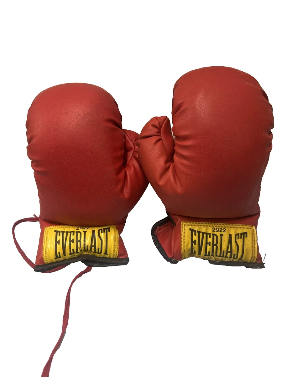 Brown Everlast Boxing Gloves for sale | eBay