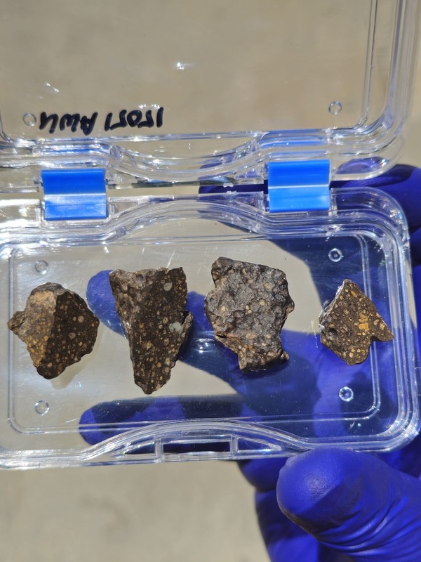 NWA 17071 CV3 Carbonaceous Chondrite 15.723g Lot w/ CAI, COA & Display Case