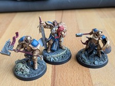 Steelhearts Champions Warhammer Underworlds | Warcry Painted