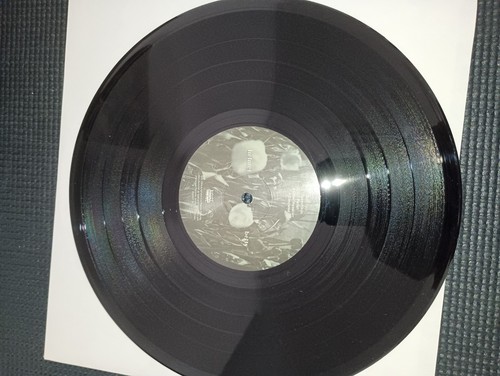Helmet, Betty (Amphetamine Reptile Records AMREP 097) EX 2 10" - Rock Metal 1994 - Picture 7 of 24