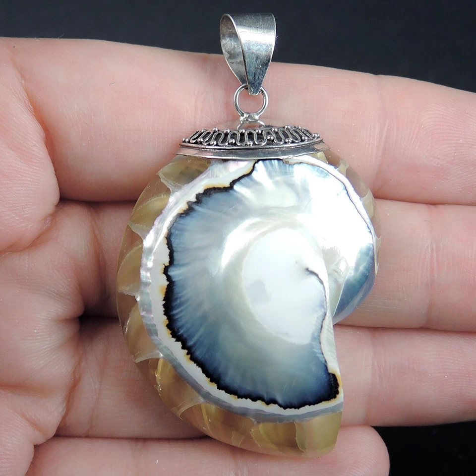 Gioielli pendenti in argento sterling 925 conchiglia naturale trasparente Nau... - Immagine 2 di 4