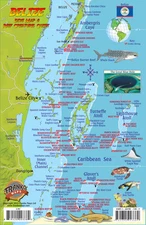 Belize Dive Map & Coral Reef Creatures Guide Waterproof Fish Card by Franko Maps
