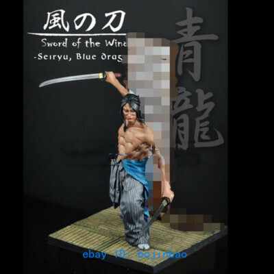 1/24 Scale 75mm Resin Sword Of The Wind Fighter Unpainted Model Kits Garage Kit