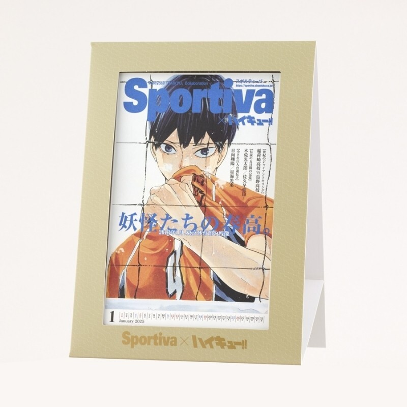 Haikyuu Sportiva Volleyball Japan Men's National Team