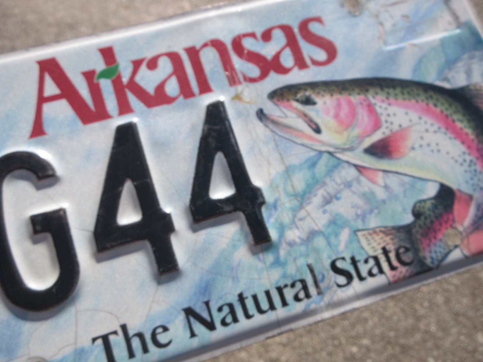 Arkansas Rainbow Trout License Plate AR Wildlife TG44 Wild Life Fishing Fish eBay
