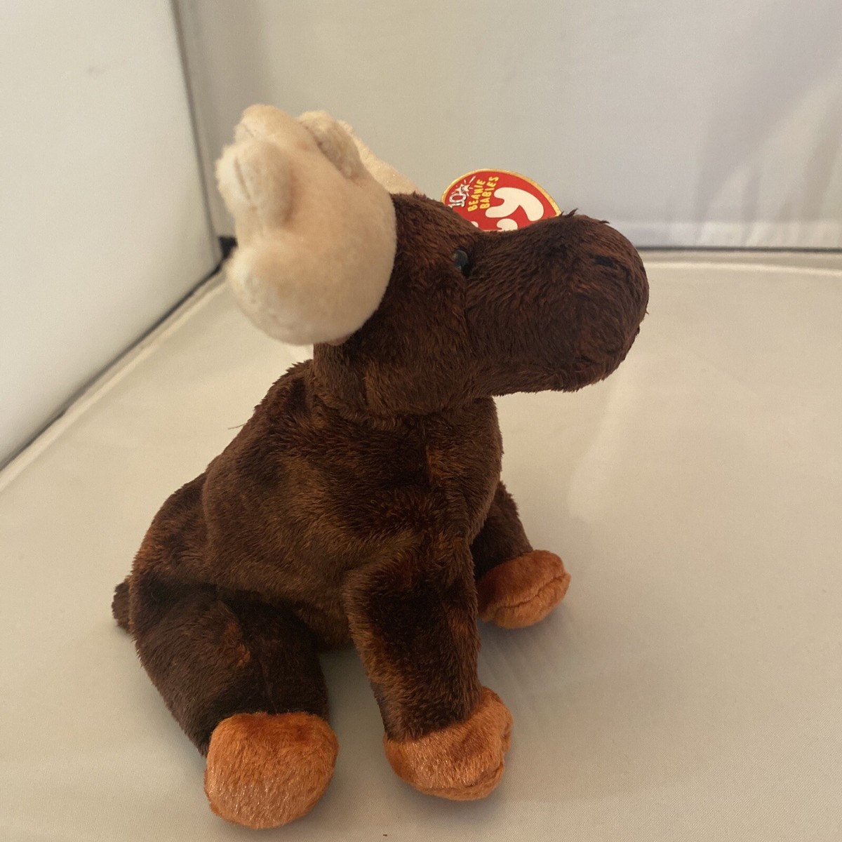 Ty Beanie Baby Zeus the Moose DOB October 23, 2002 MWMT | eBay