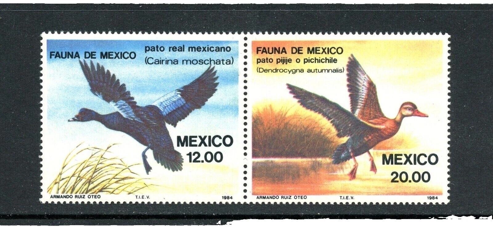 完好未铰边/全新邮票墨西哥邮票