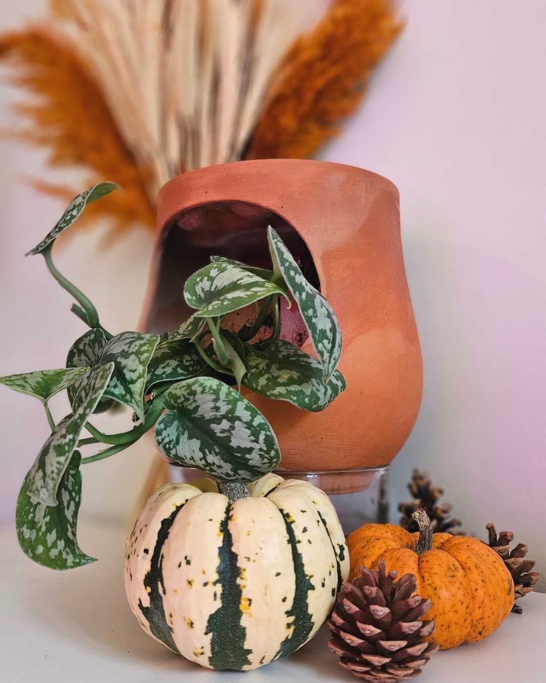 Colonne végétale AYO LUO GARDEN hydratation automatique terre cuite pour plante indoor