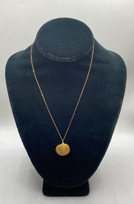 Silpada Gold Filled 925 Sterling Silver Fossilized Shell Pendant Necklace 18"