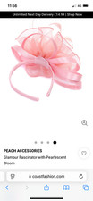 fascinator - brand new  with Tags. Bought from Coast, where it is still on sale 