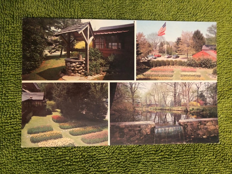 Vintage Chrome Postcard, The Red Barn Restaurant, Westport, CT