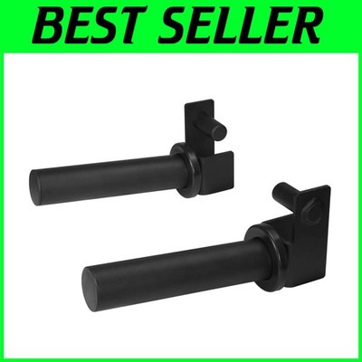Stainless Steel Weight Plate Holders - 300 lb Capacity