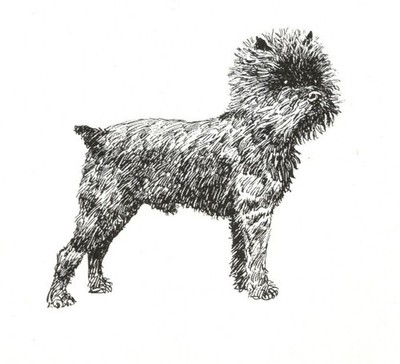 Affenpinscher - CUSTOM MATTED 5 x 7 - Dog Art Print - NEW - GD