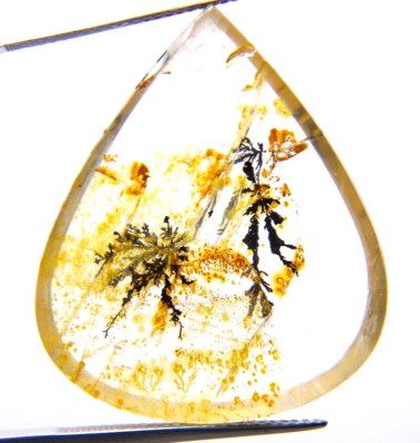 IP16  Dendrite Quartz 40.95ct 30x25x5mm pear shape picture stone garden branches