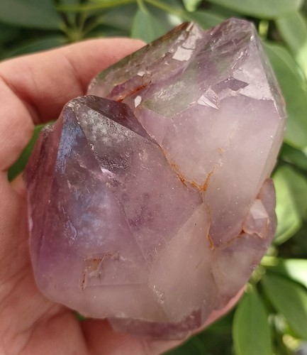 337g New Find Natural Amethyst Backbone Crystal Cluster Mineral Specimen - Picture 6 of 11