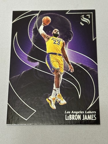 2024 Panini Silhouette LeBron James #23 card
