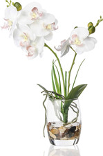 1 Pcs Glass Vase Artificial Orchid Flower Bonsai Vivid Phalaenopsis Flowers Pott