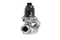 Valeo 700474 Agr-Ventil FüR CitroËN Passend FüR Fiat Ford Mazda Mini Peugeot