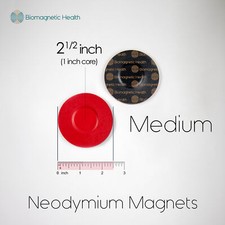 Medium Neodymium Biomagnetism Magnet Pair - 1.0 inch