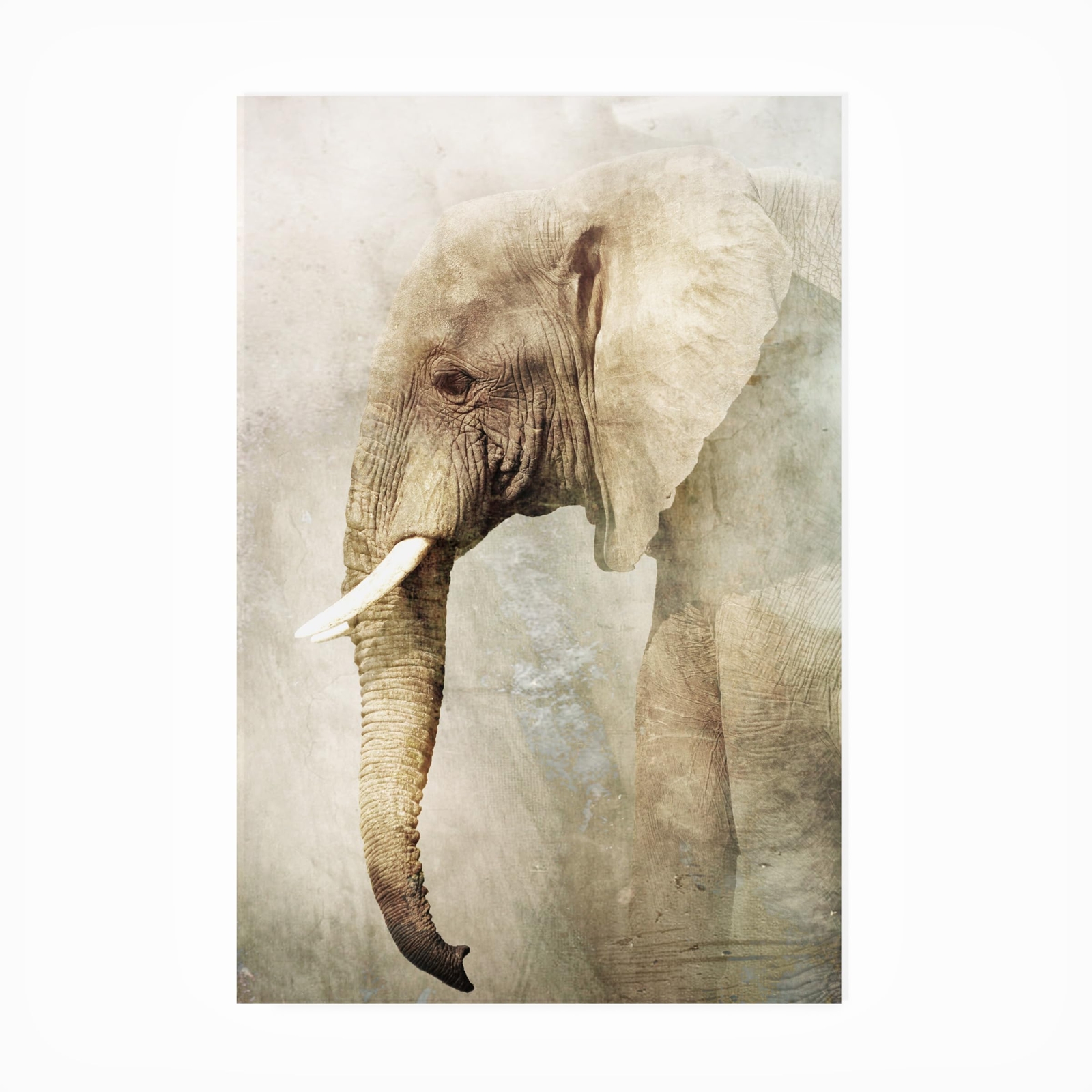 Outdoor Canvas Art - Antonio Grambone 'Untitled' Wall Art for Outdoor Spaces,...