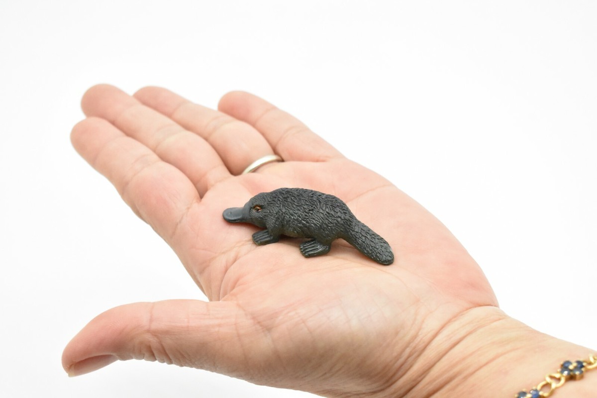 platypus です Platypus, Duck Billed, Very Nice Plastic Animal, 2 1/2