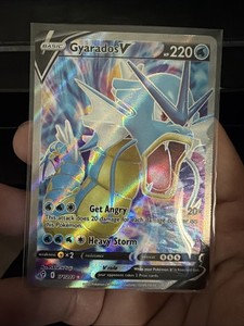 gyarados v pokemon card value & Vmax Lot - Evolving Skies 028/203 & 029/203 Colorless Rule Gyarados V Holo Double Rare
