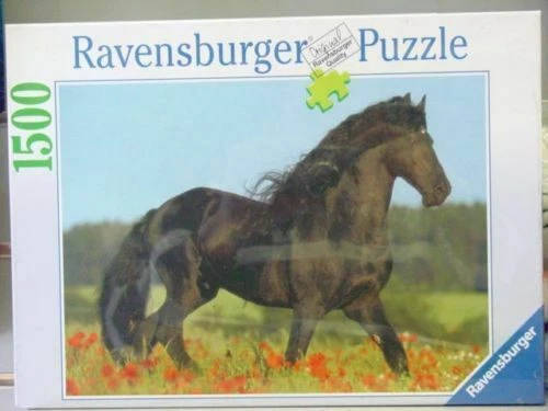 Puzzle e rompicapi Ravensburger