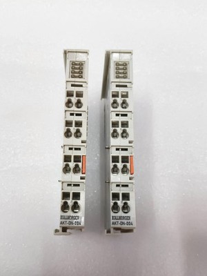 Lot of 2 Kollmorgen AKT-DN-004 24V DC Digital Input Module Made in Germany